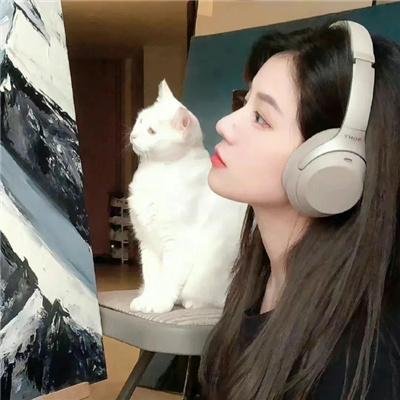 朋友再见